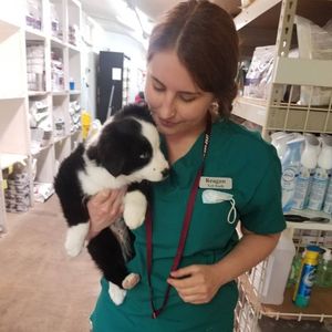 Midland Animal Clinic & Hospital Staff and Puppy
