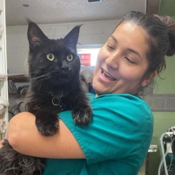 Midland Animal Clinic & Hospital Staff and Cat