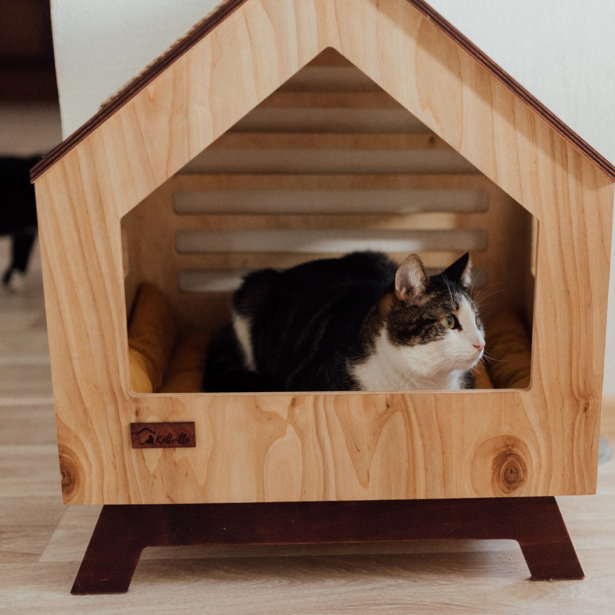 Pet Boarding-1