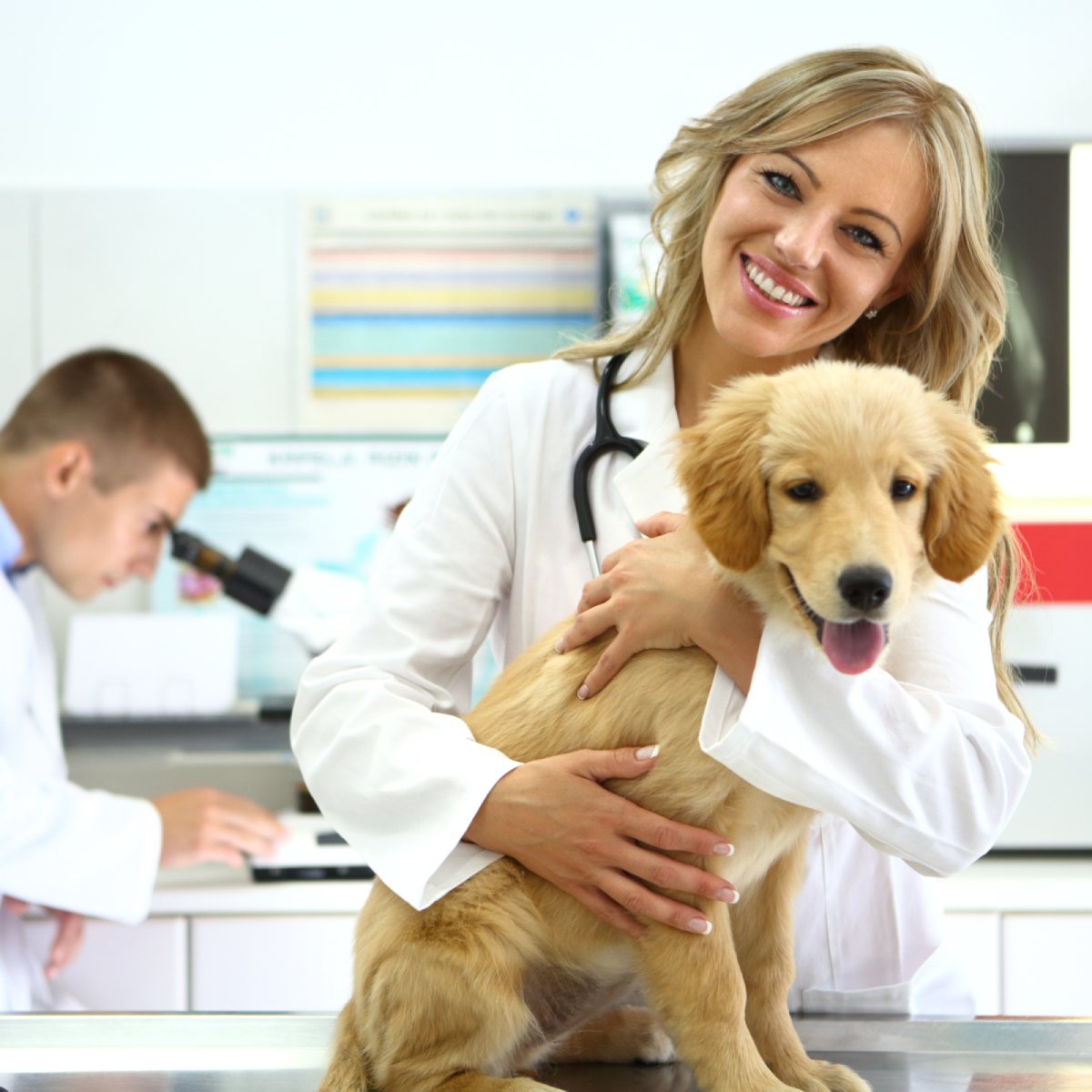 Pet Diagnostics