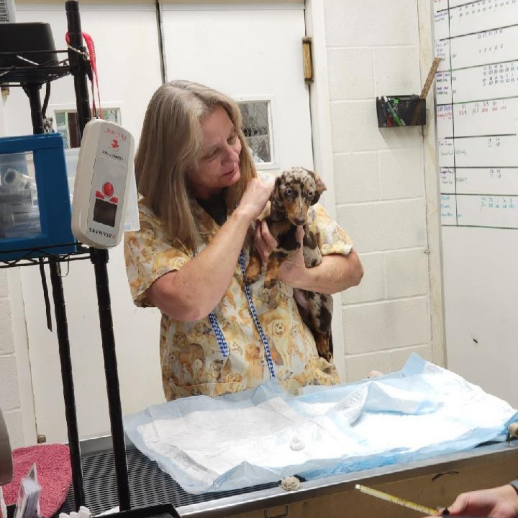 Skye with dog Skye with dog