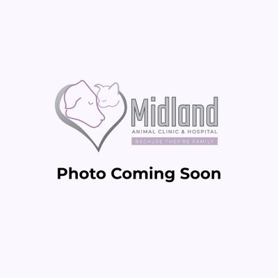 photo coming soon coming soon image